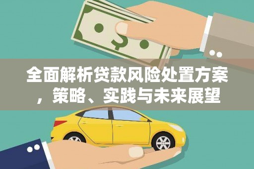 盐田全面解析贷款风险处置方案，策略、实践与未来展望