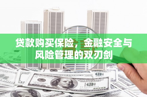 盐田贷款购买保险，金融安全与风险管理的双刃剑