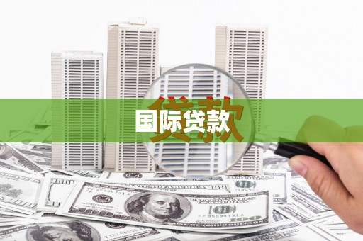 盐田国际贷款