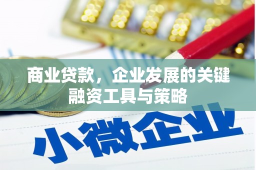 盐田商业贷款，企业发展的关键融资工具与策略