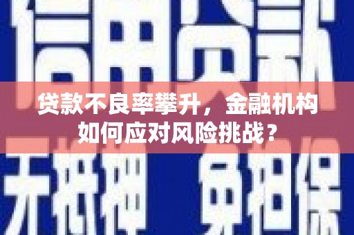 盐田贷款不良率攀升，金融机构如何应对风险挑战？