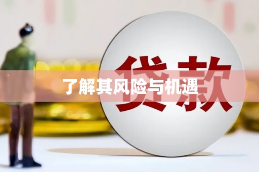 盐田了解其风险与机遇