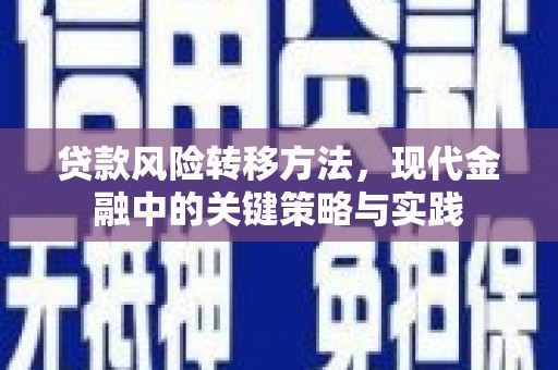 盐田贷款风险转移方法，现代金融中的关键策略与实践