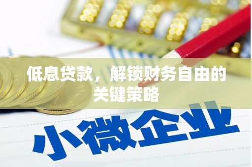 盐田低息贷款，解锁财务自由的关键策略