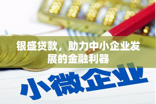 盐田银盛贷款，助力中小企业发展的金融利器