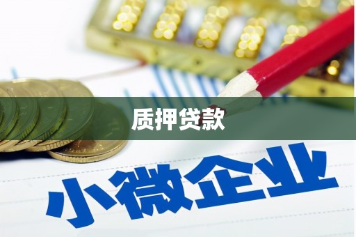 盐田质押贷款