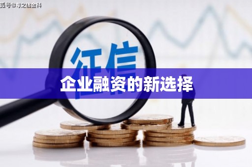 盐田企业融资的新选择