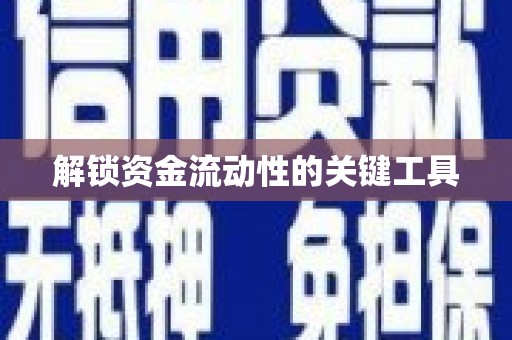 盐田解锁资金流动性的关键工具