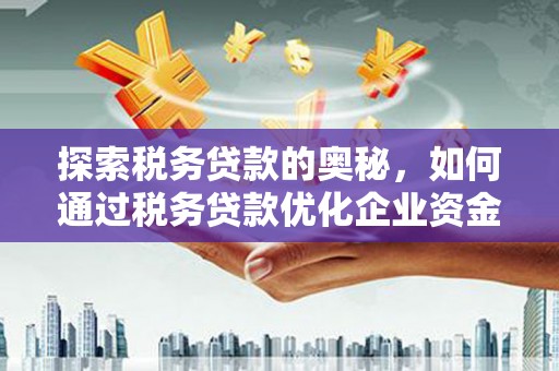 盐田探索税务贷款的奥秘，如何通过税务贷款优化企业资金流