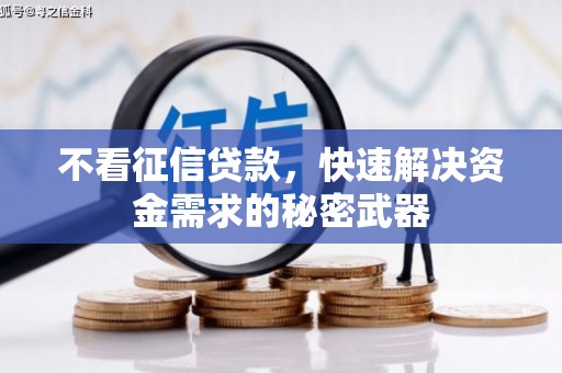 盐田不看征信贷款，快速解决资金需求的秘密武器