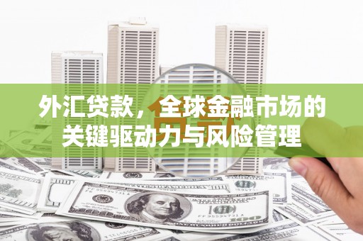 盐田外汇贷款，全球金融市场的关键驱动力与风险管理