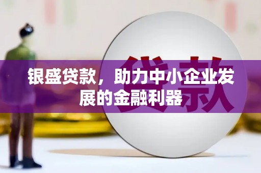 盐田银盛贷款，助力中小企业发展的金融利器
