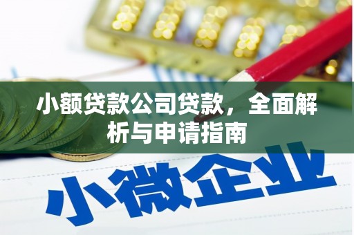 盐田小额贷款公司贷款，全面解析与申请指南