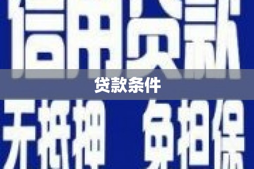 盐田贷款条件