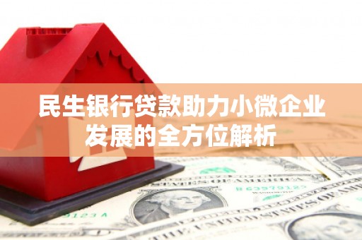 盐田民生银行贷款助力小微企业发展的全方位解析