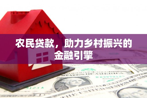 盐田农民贷款，助力乡村振兴的金融引擎
