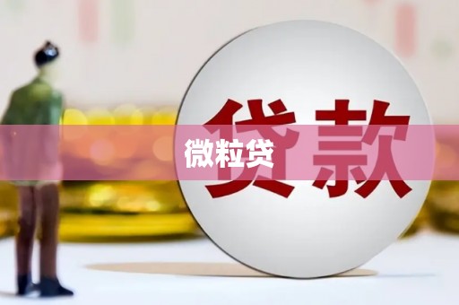 盐田微粒贷