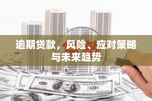 盐田逾期贷款，风险、应对策略与未来趋势