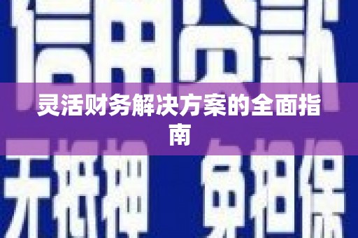 盐田灵活财务解决方案的全面指南