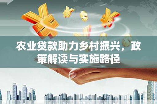 盐田农业贷款助力乡村振兴，政策解读与实施路径