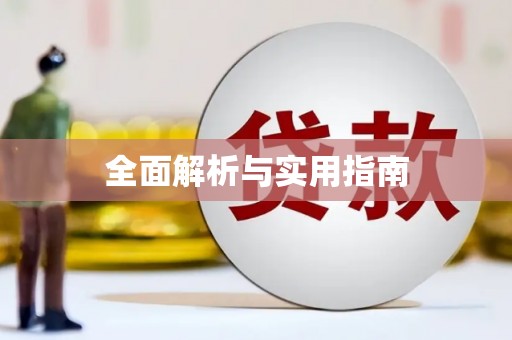 盐田全面解析与实用指南