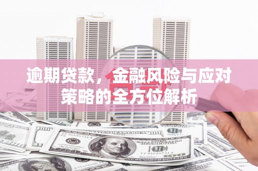 盐田逾期贷款，金融风险与应对策略的全方位解析