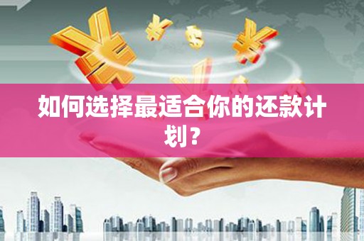 盐田如何选择最适合你的还款计划？
