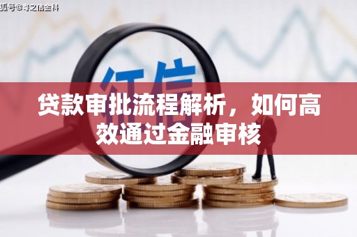 盐田贷款审批流程解析，如何高效通过金融审核