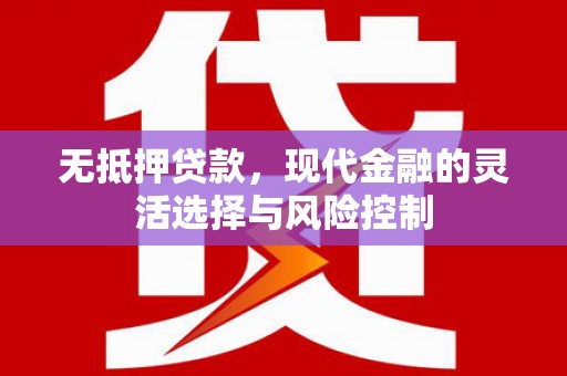 盐田无抵押贷款，现代金融的灵活选择与风险控制