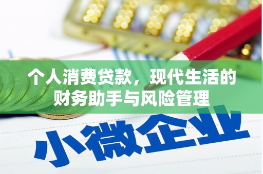 盐田个人消费贷款，现代生活的财务助手与风险管理