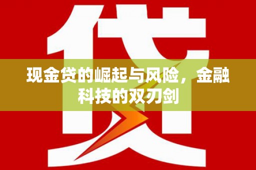 盐田现金贷的崛起与风险，金融科技的双刃剑