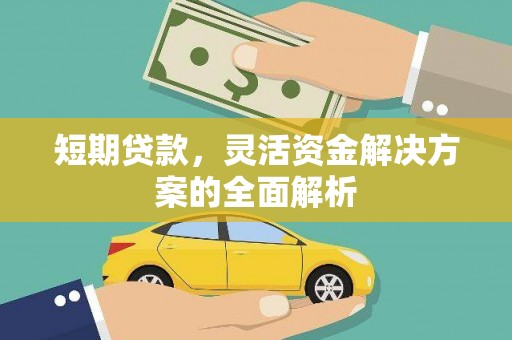 盐田短期贷款，灵活资金解决方案的全面解析