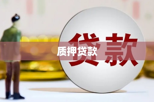 盐田质押贷款