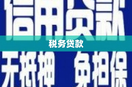 盐田税务贷款