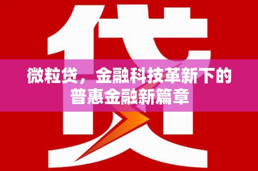 盐田微粒贷，金融科技革新下的普惠金融新篇章