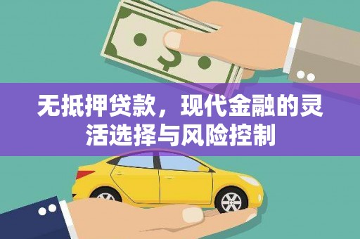 盐田无抵押贷款，现代金融的灵活选择与风险控制