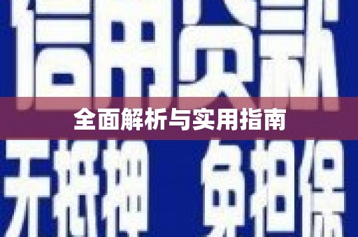 盐田全面解析与实用指南