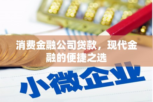 盐田消费金融公司贷款，现代金融的便捷之选