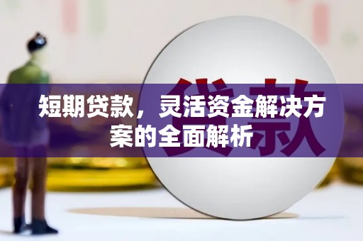 盐田短期贷款，灵活资金解决方案的全面解析