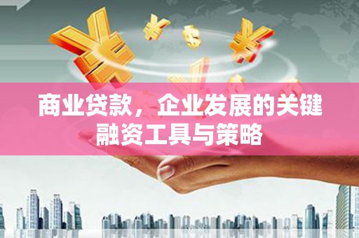 盐田商业贷款，企业发展的关键融资工具与策略