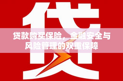 盐田贷款购买保险，金融安全与风险管理的双重保障