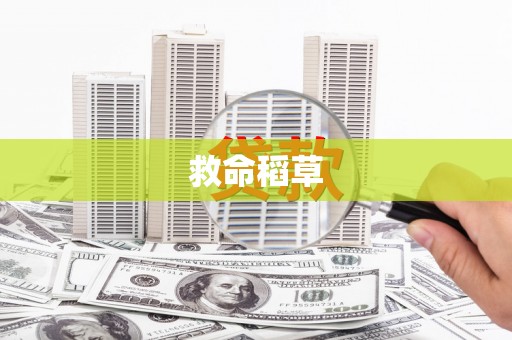 盐田救命稻草