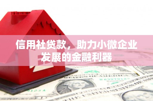 盐田信用社贷款，助力小微企业发展的金融利器