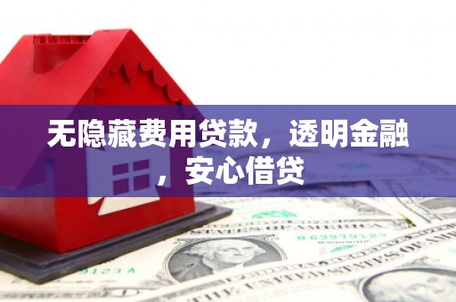 盐田无隐藏费用贷款，透明金融，安心借贷