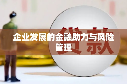 盐田企业发展的金融助力与风险管理