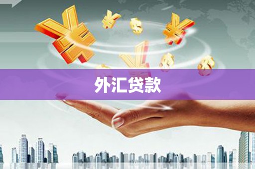 盐田外汇贷款