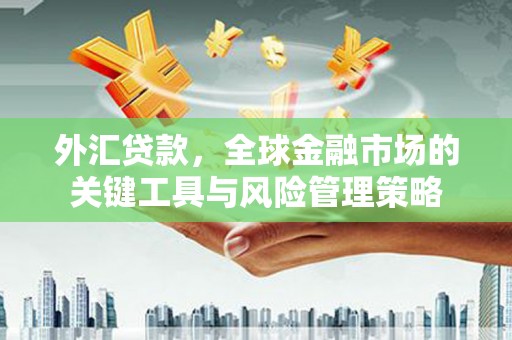 盐田外汇贷款，全球金融市场的关键工具与风险管理策略