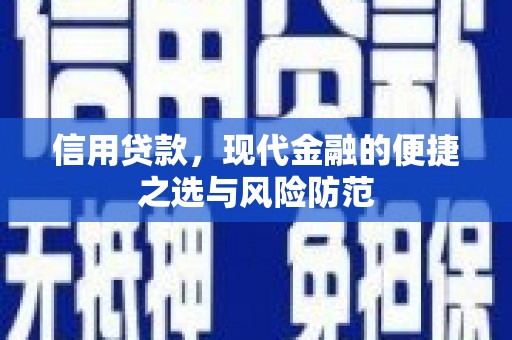盐田信用贷款，现代金融的便捷之选与风险防范