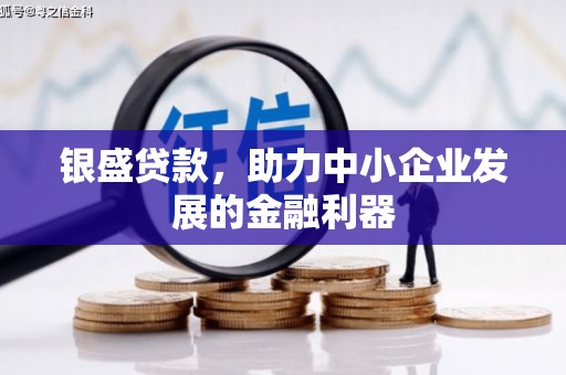 盐田银盛贷款，助力中小企业发展的金融利器