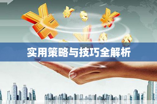 盐田实用策略与技巧全解析